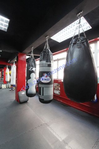金葉專業泰拳健體中心 Kim Ip Professional Thai Boxing Fitness - 
